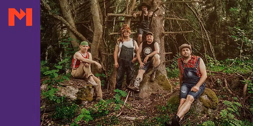 Steve 'n' Seagulls in Hengelo