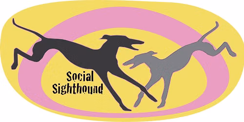 San Francisco Second Saturday Sighthound Stroll