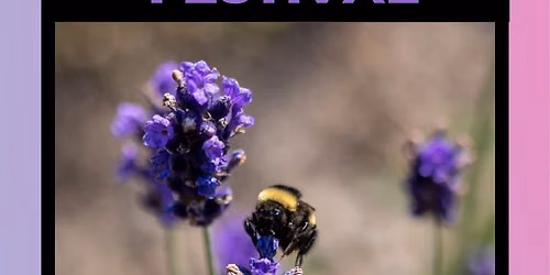 Annual Wiarton Lavender Festival