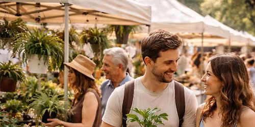 HAZEL FOOD & ACC Market 