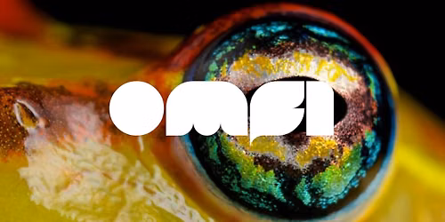 OMFI #66 \/ CAMILLE RAS\u00e9RA \/ MATTHIEU HA \/ ERIC DOPPAGNE