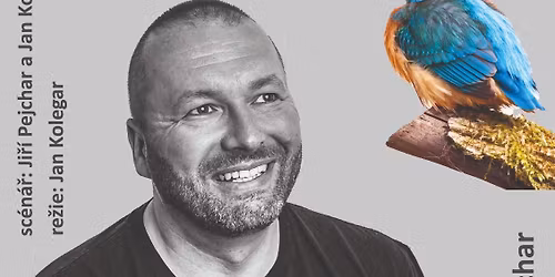 Led\u0148\u00e1\u010dek