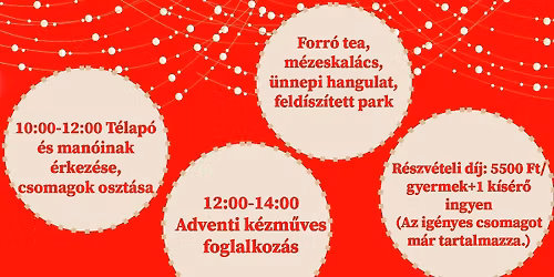 Mikul\u00e1s-nap az \u00c1llatparkban\ud83c\udf85\ud83c\udffb\u26c4\ufe0f\u2744\ufe0f\ud83c\udf84