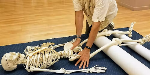 Anatomy of the Hip, Leg & Foot in ATM\u00ae & FI\u00ae