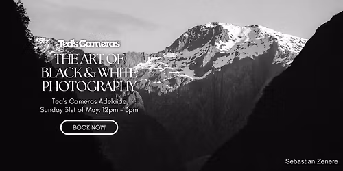 The Art of Black & White Photography