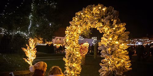 PRIŽIG PRAZNIČNIH LUČI NA GRAJSKEM DVORIŠČU ✨