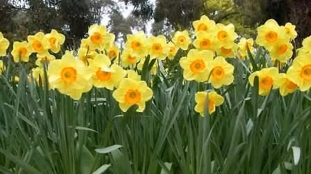 Bill Ludwig\/Foggy Otis