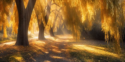 Remembrance Ceremony - Adams Council on Aging