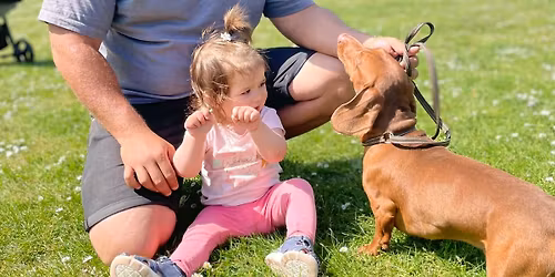 KmetoK9 5 day bootcamp 