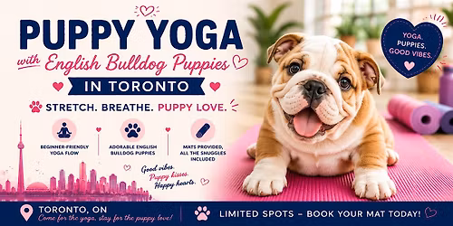 Puppy Yoga with English Bulldogs in Toronto