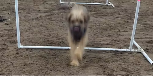 Beginners Hoopers Course - Sheffield 