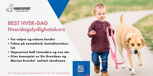 Best hver dag - hverdagslydighet for alle hunder (ledige plasser)