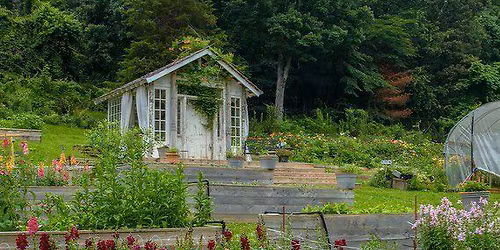 Petals and Pastries at Dahlia Den and Gardens