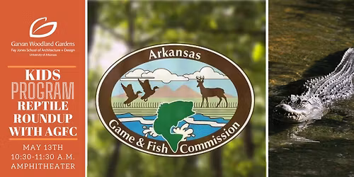 Reptile Roundup Kids Program 