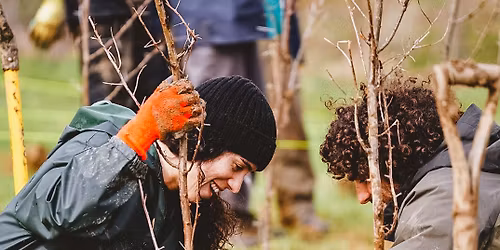 Permaculture Volunteer Day