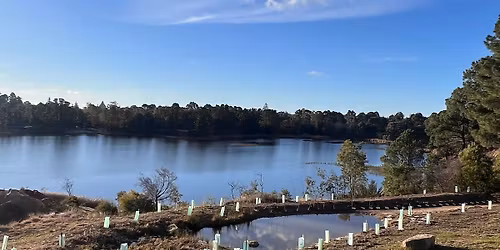 Claybanks working bee