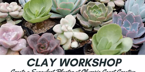 Hand built succulent pots with plant presentation