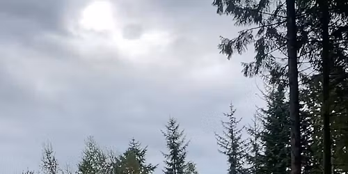 Tillitsbasert innkalling\ud83d\udc3e