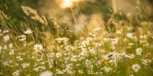 Hiljaisuuden ilta kirjastolla