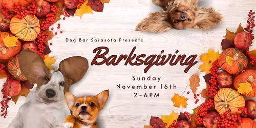 Barksgiving at Dog Bar