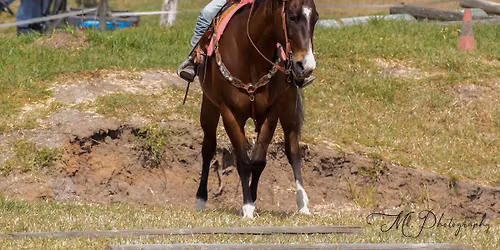 CONCOURS WESTERN N 2