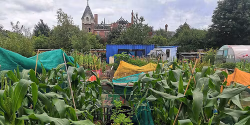 Thursday Ladies only day..