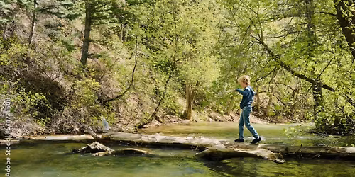 Stream Stomp (crik walk)