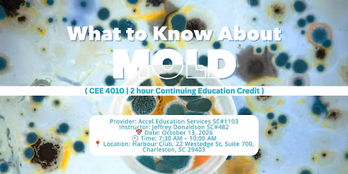 What to Know About Mold