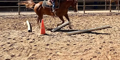 CHRIS BUGENIG FUNDAMENTALS OF ROPING & TRAIL OBSTACLE CLINIC