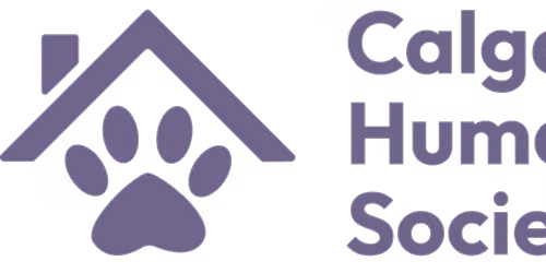 PD Day Camp (CBE & CCSD) - October 19th