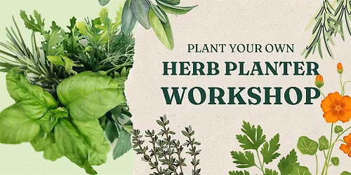 Kitchen Herb Planter Workshop