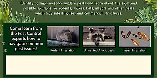 Take a Walk on the Wild Side - FREE CE Class