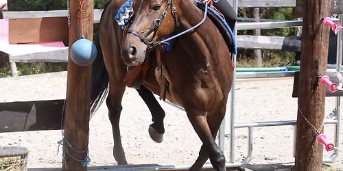 Hobby z\u00e1vody na Ran\u010di \u2013 j\u00edzda zru\u010dnosti & parkur \ud83d\udc34