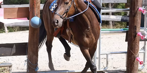 Hobby z\u00e1vody na Ran\u010di \u2013 j\u00edzda zru\u010dnosti & parkur \ud83d\udc34