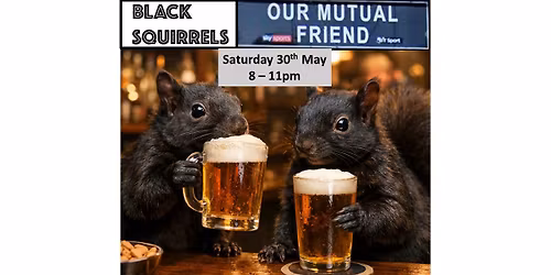 Black Squirrels @ Our Mutual Friend