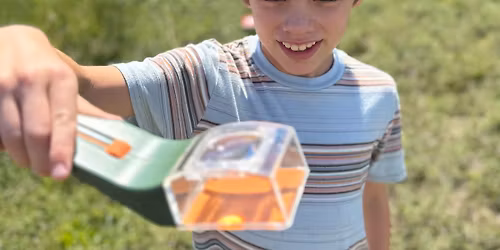 Eco Explorers- Insects