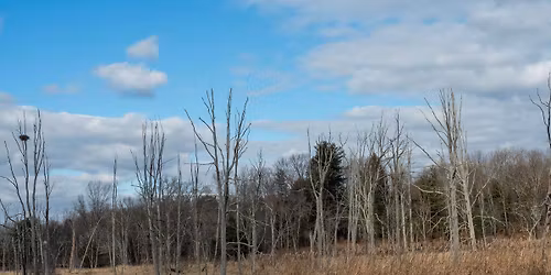 Late Fall Guided Nature Walk