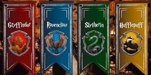 Webster School of Wizardry Fundraiser!