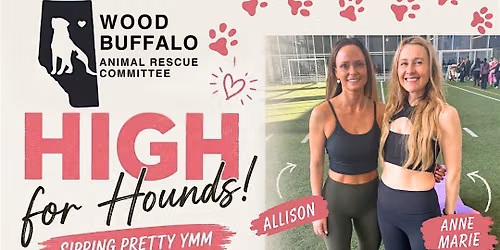 HIGH For Hounds!