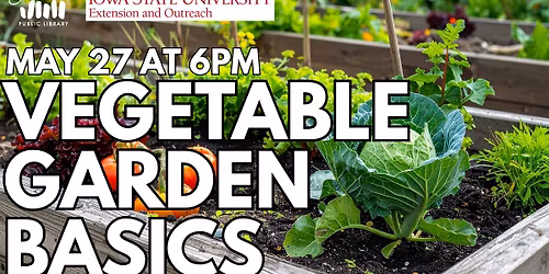 Vegetable Garden Basics