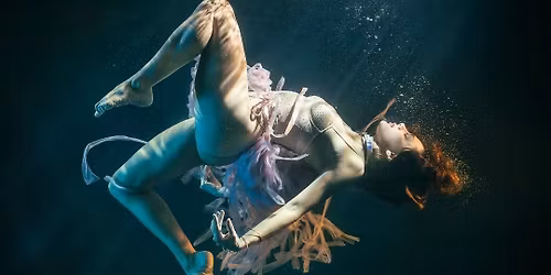 POLEGUNS @ TANKSPACE 2026