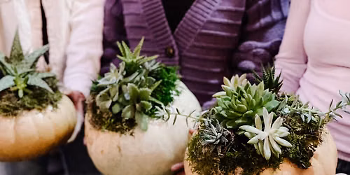 Succulent Pumpkin Planters with LaCott Fine Art