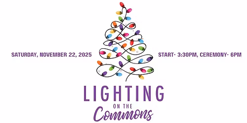 2025 Lighting on the Commons