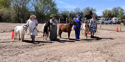 Spring Elegance Halter & Tea Social