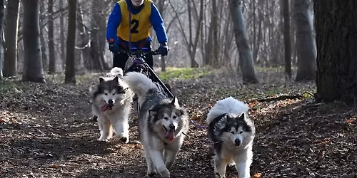 Long Distance Trek - Salisbury Plain