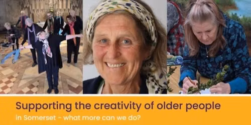 Somerset Arts + Culture Diversity Forum 2026