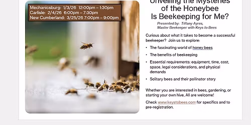 Is Beekeeping For Me? Unveil the Mysteries of the Honey Bee