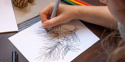 Tegneverksted: Lag julekort med botaniske illustrasjoner