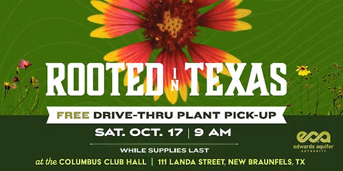 Rooted in Texas | FREE Drive-Thru Plant Pick-Up in New Braunfels, TX