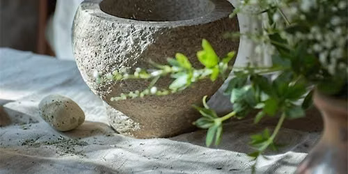 Herbs for Stress: Adaptogens, Nervines + Hypnotics